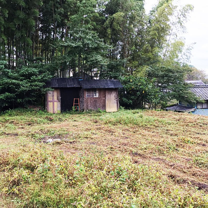 アイアカネ工房の畑