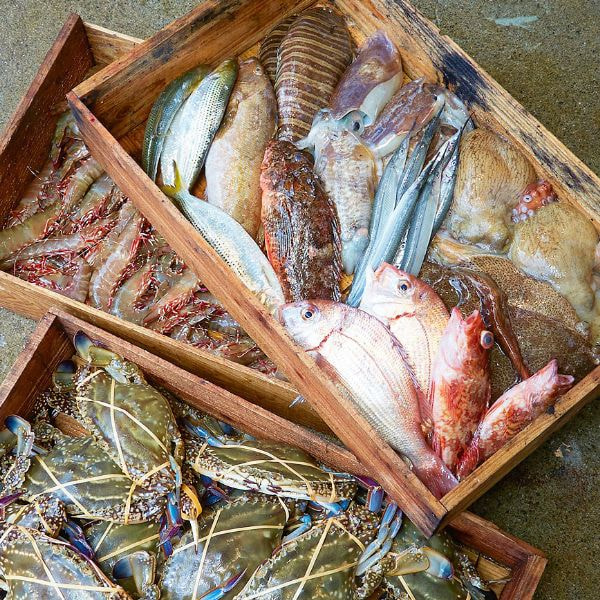 箱の中に入った魚介類