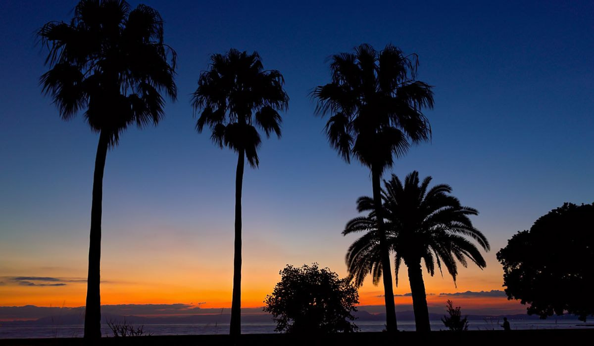 橘湾に沈む夕日